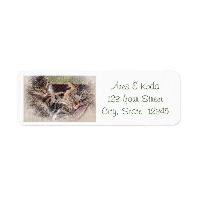 Kitten Address Labels (Front)