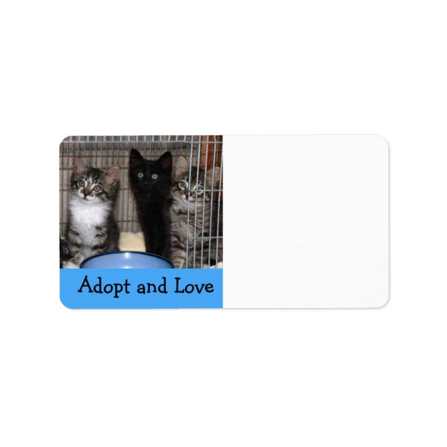 Kitten Adopter et aimer Étiquette de adresse (Devant)