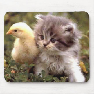 Kitten and Baby Chick Mouse Pad