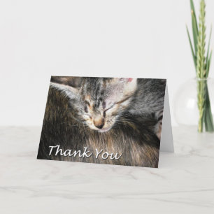 Kitten and Cat You Thank Thank You Card