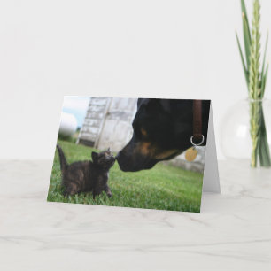 Kitten and dog encouragement greeting card