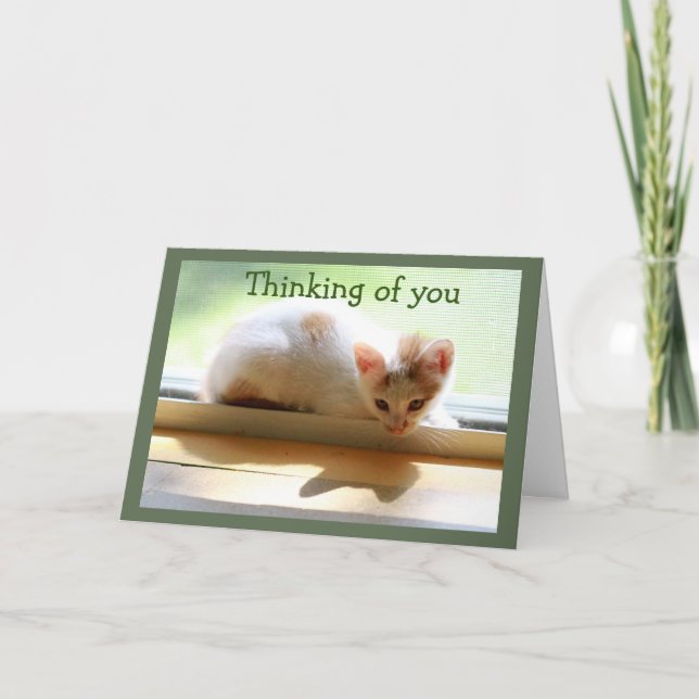 Kitten and Her Shadow in Sunny Window Card (Front)