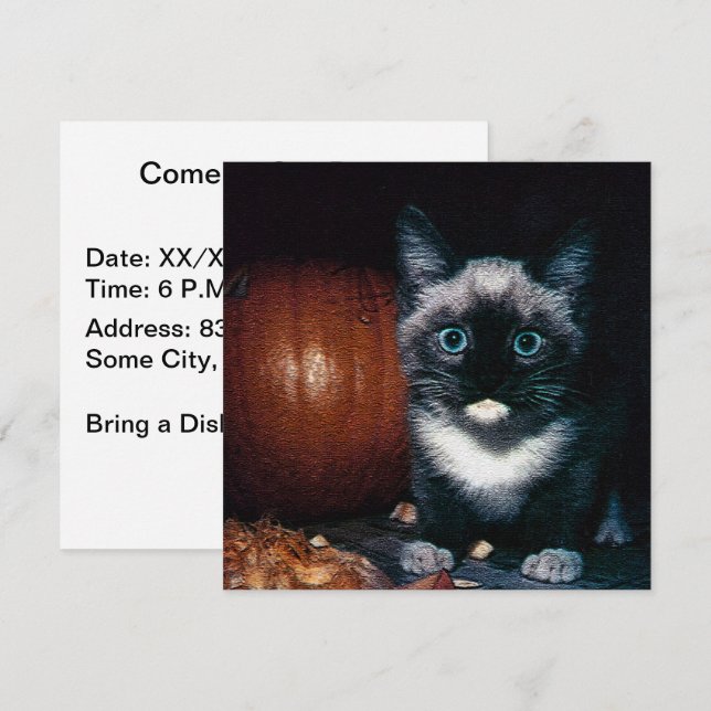 Kitten and Pumpkin for Halloween Invitation (Front/Back)