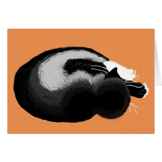 kitten asleep (Front Horizontal)