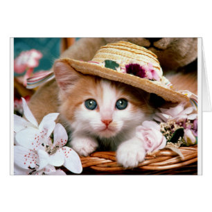 Kitten avec casquette de paille.