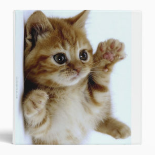 Kitten Binder
