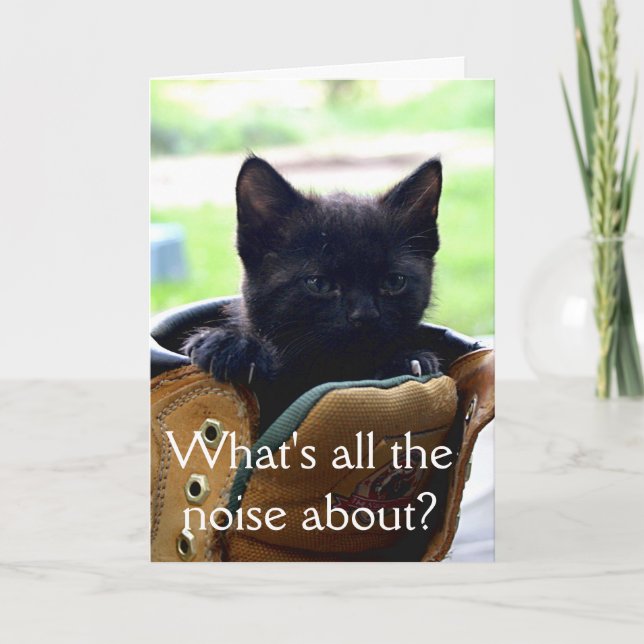 Kitten Birthday Card (Front)