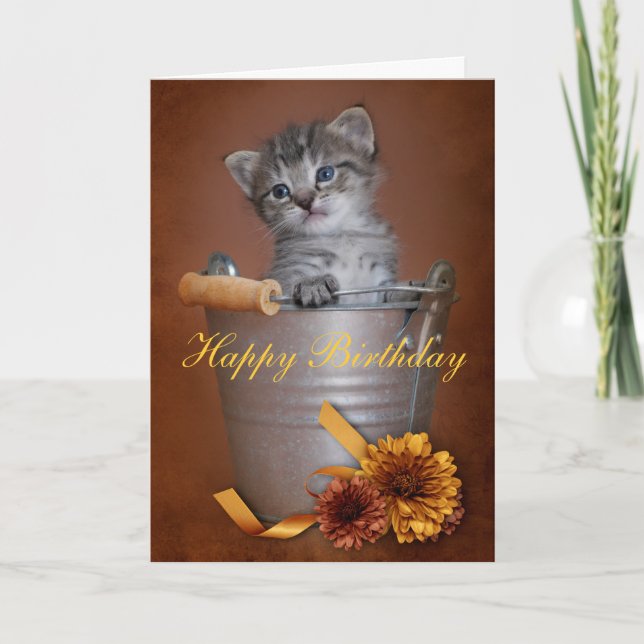 Kitten Birthday Card (Front)