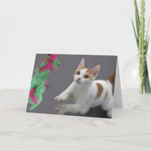 Kitten Birthday Card by Focus for a Cause