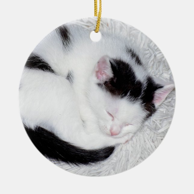 Kitten Black and White Sleeping Photo Ceramic Ornament (Front)