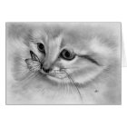Kitten Butterfly Card