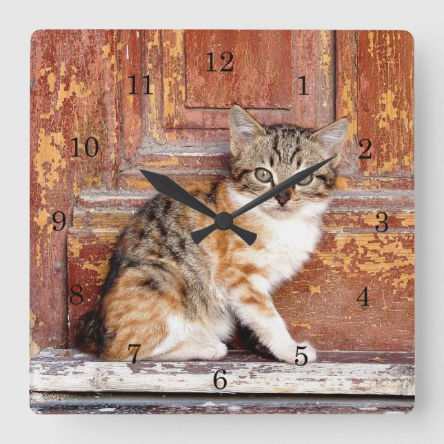 Kitten by Barn Square Wall Clock (Front)