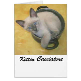 Kitten Cacciatore