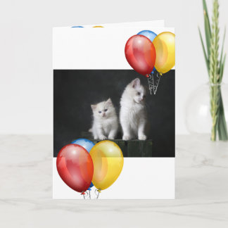 Kitten  card