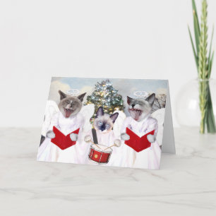Kitten Carol Christmas Card