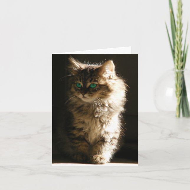 Kitten Carte pour notes (Devant)