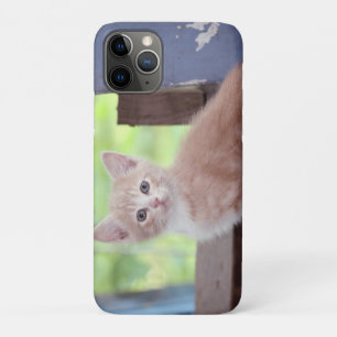 Kitten iPhone 11 Pro Case