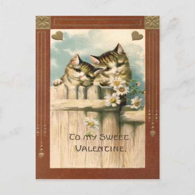 Kitten Cat Daisy Daisies Fence Postcard (Front)