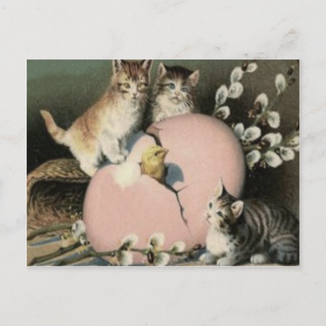 Kitten Cat Easter Chick Colored Painted Egg Holiday Postcard (Front)