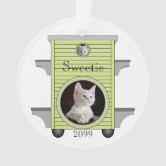 Kitten Chat Télécharger Photo Chat Maison Cadre Cé