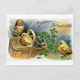Kitten, Chicks & Clover Vintage Easter Holiday Postcard