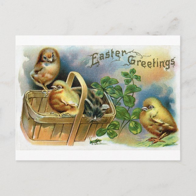 Kitten, Chicks & Clover Vintage Easter Holiday Postcard (Front)
