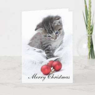 Kitten Christmas Card
