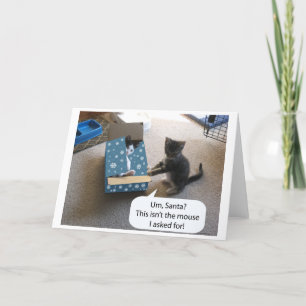 Kitten Christmas Surprise (blank inside) card