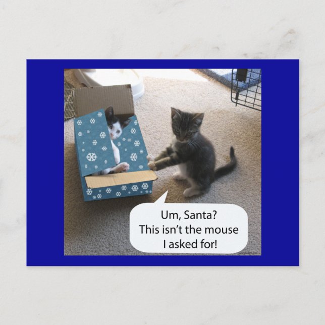 Kitten Christmas Surprise Carte postale (Devant)