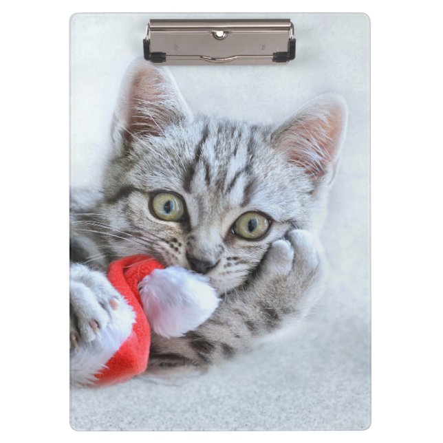 Kitten Clipboard (Front)