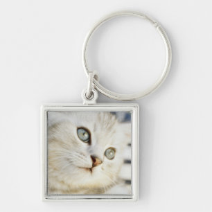 Kitten, close-up 2 keychain