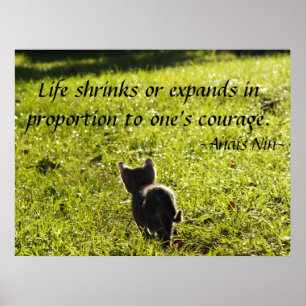 Kitten Courage Poster