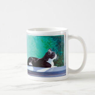 Kitten dans la fenêtre art original tasse à café