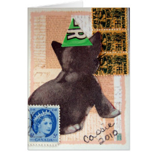 Kitten dans un Casquette de fête Collage