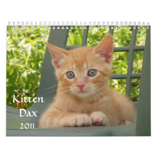 Kitten Dax 2011 Calendar