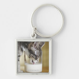 Kitten drinking milk from glass keychain