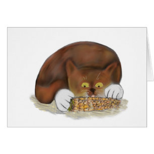 Kitten Enjoys Eating Corn on the Cob
