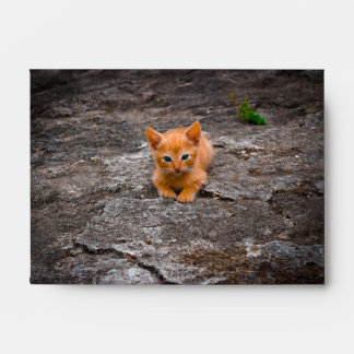 Kitten Envelope
