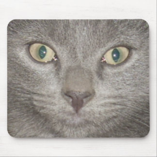 kitten face2 mousepad -grey