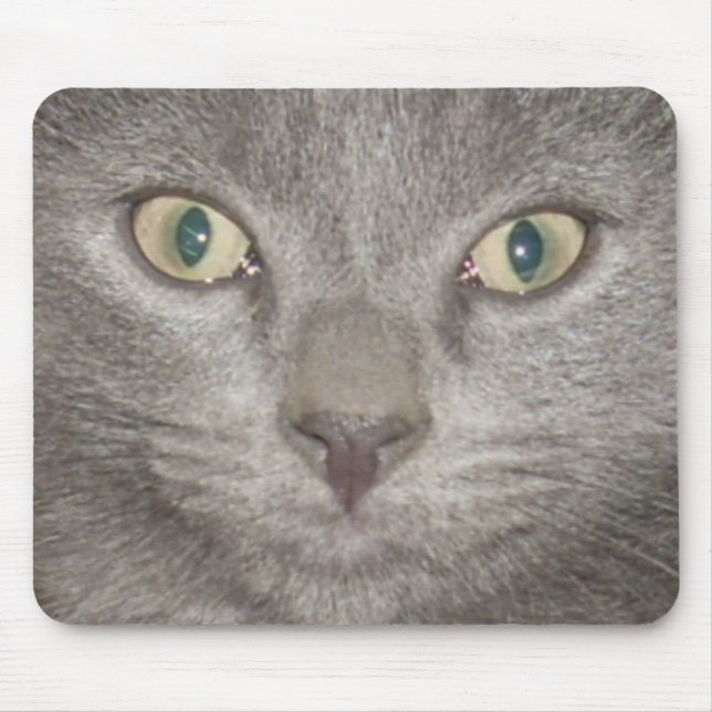 kitten face2 mousepad -grey (Front)