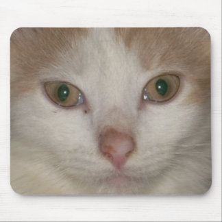 kitten face 1 mousepad