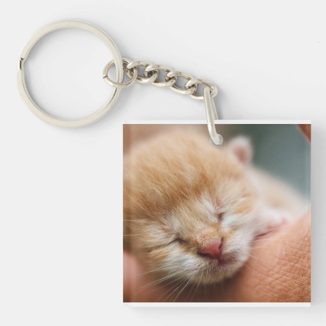 Kitten, Feline, Nature Keychain (Front)