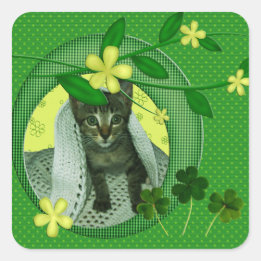 Kitten, Flowers, Shamrocks & Green Polka Dots Square Sticker