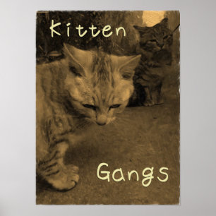Kitten Gangs Poster