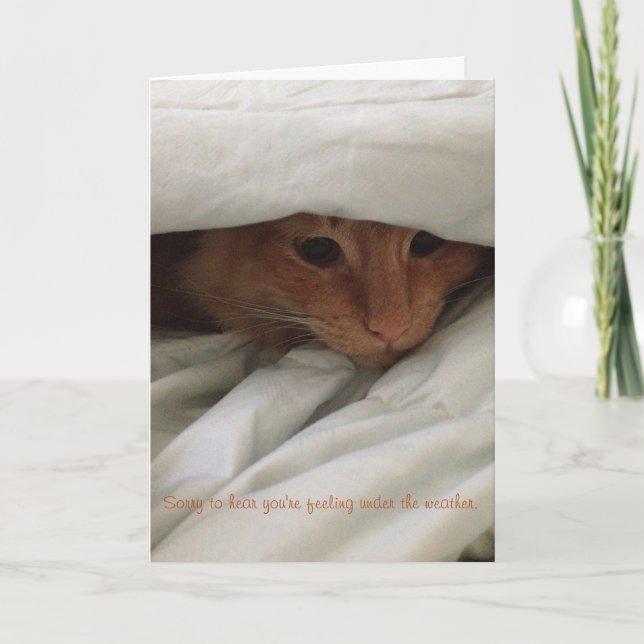 kitten get well card (Front)