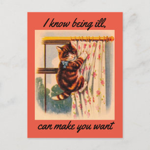 Kitten Get Well Postcard