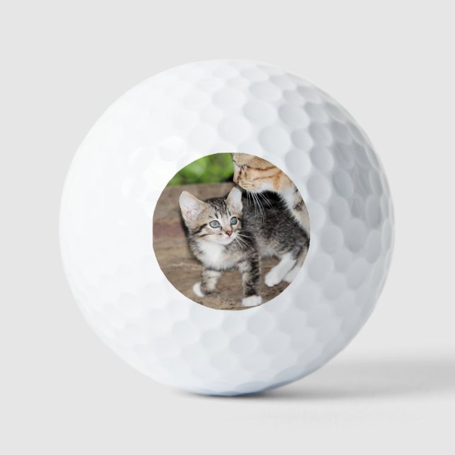 Kitten Golf Balls (Front)