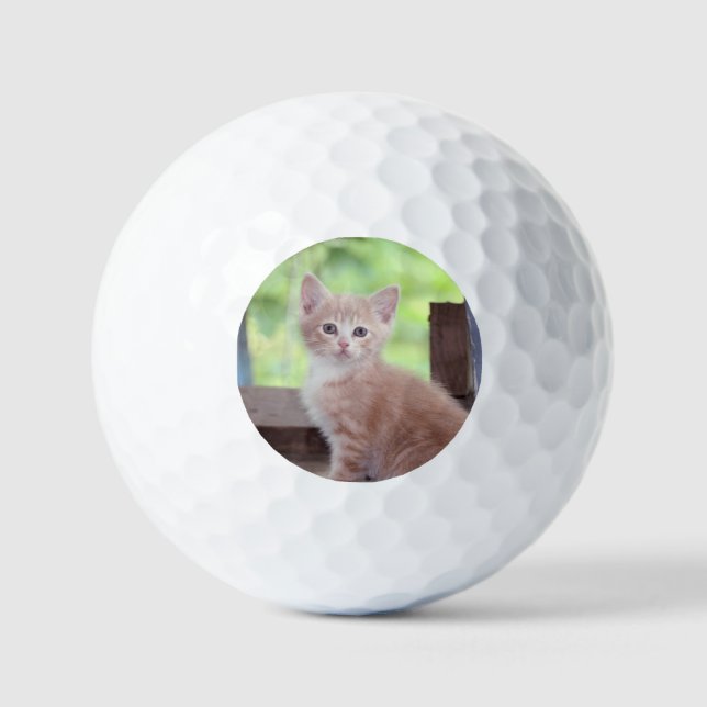 Kitten Golf Balls (Front)