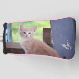 Kitten golf head cover