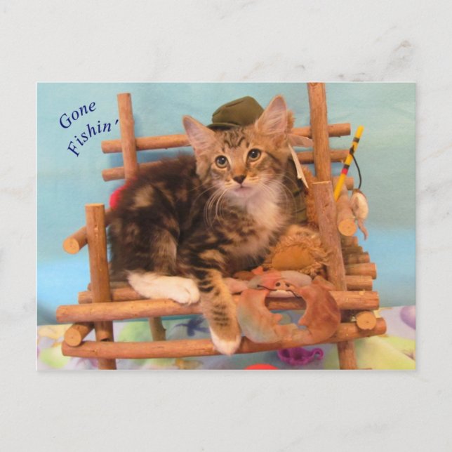 Kitten Gone Fishin' Postcard (Front)